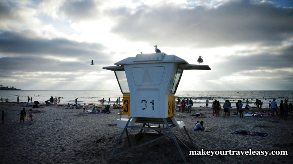 3. Black's Beach (San Diego, California) : Top 10 Nude beaches in USA