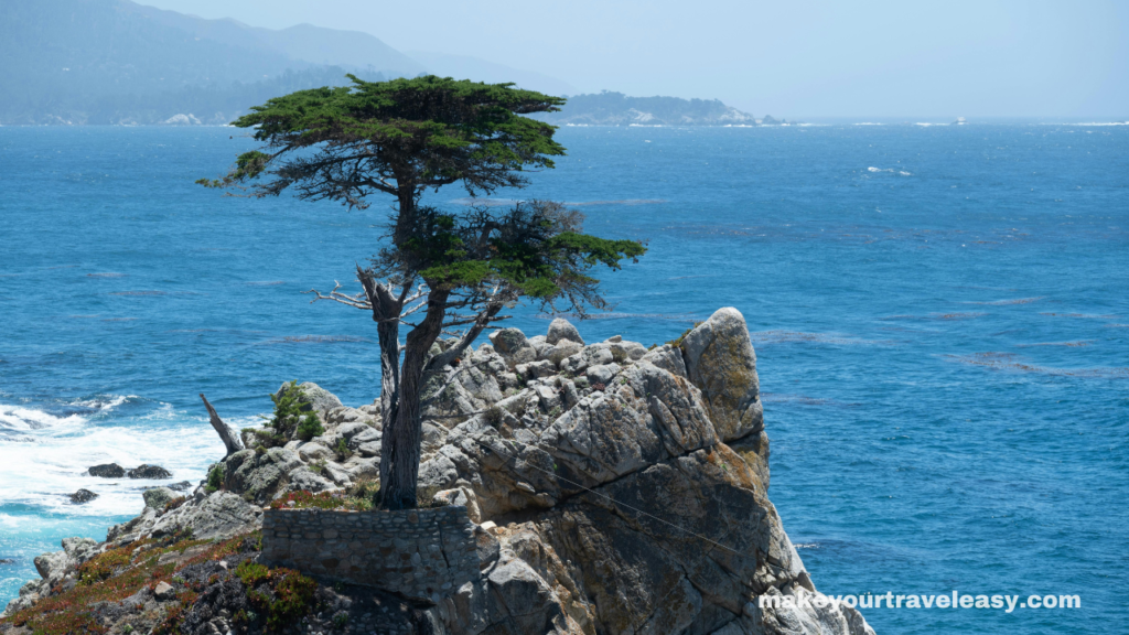 7. California Central Coast – Wine, Beaches, and Nature.
top 9 beautiful spring destinations in the USA