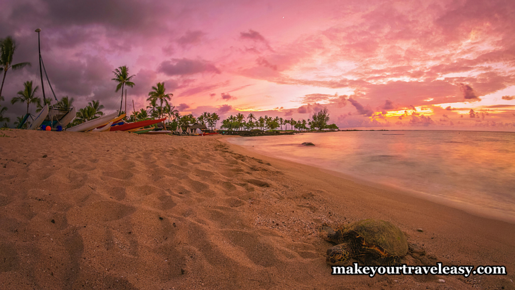 8. Turtle Beach (Siesta Key, Florida) : Top 10 Nude beaches in USA