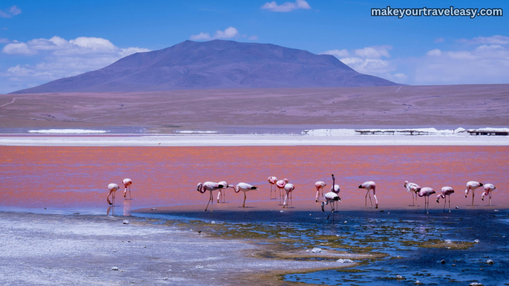 6. Bolivia
